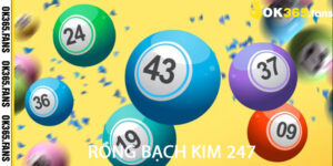 Rồng Bạch Kim 247