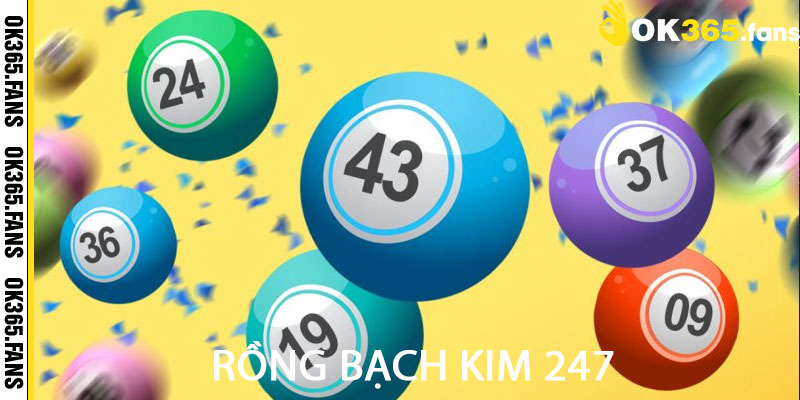 Rồng Bạch Kim 247