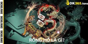 Rồng hổ là gì?