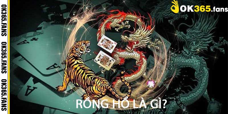 Rồng hổ là gì?